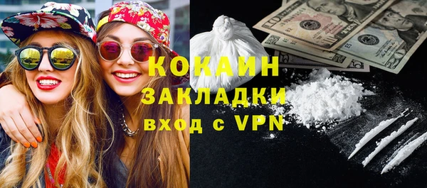 твердый Лагань