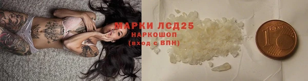 твердый Лагань