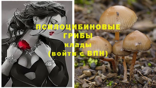 мдпв Фурманов