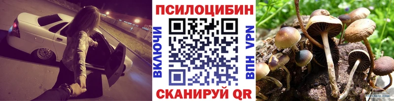 Галлюциногенные грибы Cubensis  Магас 